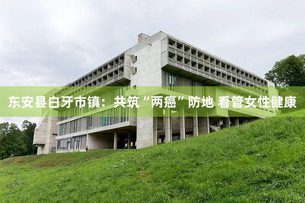 东安县白牙市镇：共筑“两癌”防地 看管女性健康
