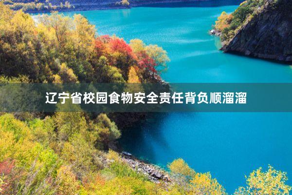 辽宁省校园食物安全责任背负顺溜溜