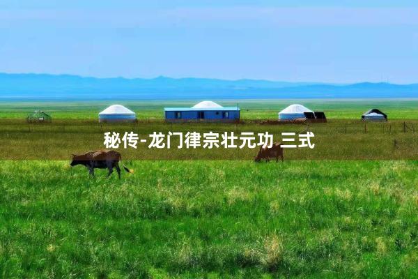 秘传-龙门律宗壮元功 三式