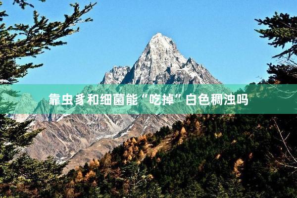 靠虫豸和细菌能“吃掉”白色稠浊吗