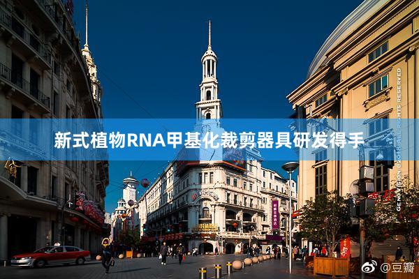 新式植物RNA甲基化裁剪器具研发得手