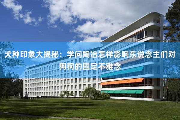 犬种印象大揭秘：学问陶冶怎样影响东说念主们对狗狗的固定不雅念