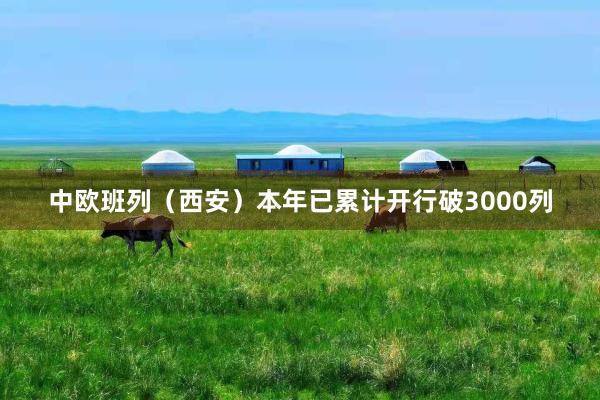 中欧班列（西安）本年已累计开行破3000列