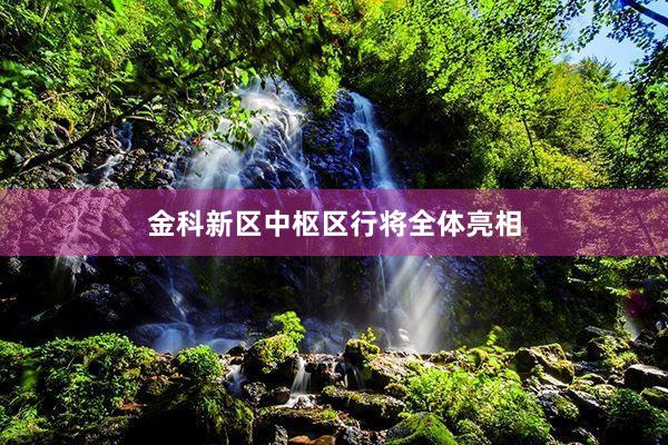 金科新区中枢区行将全体亮相