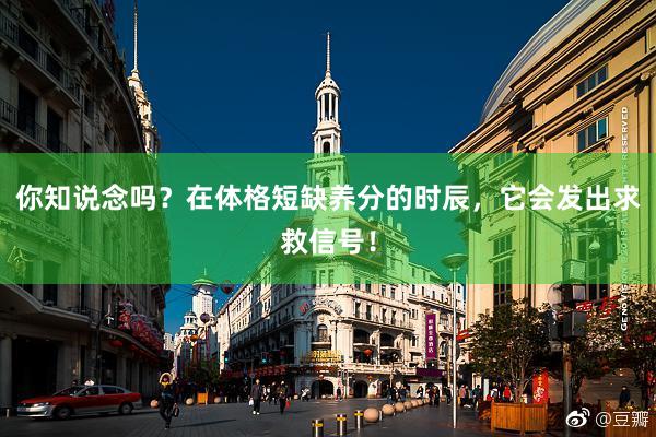 你知说念吗？在体格短缺养分的时辰，它会发出求救信号！