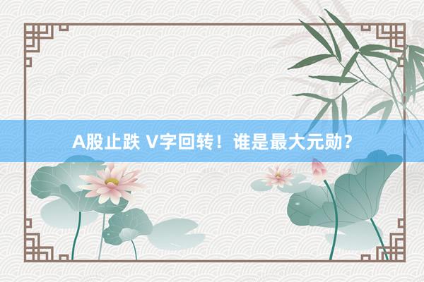 A股止跌 V字回转！谁是最大元勋？