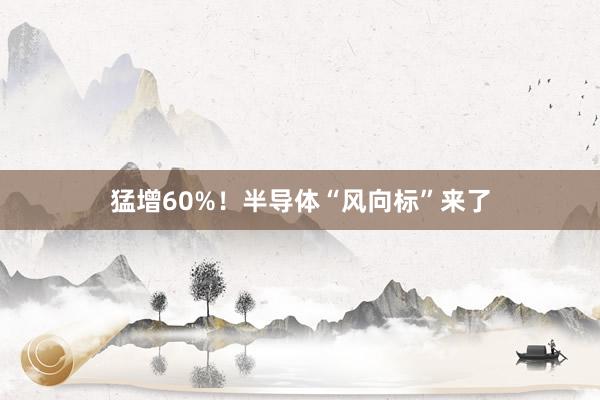 猛增60%！半导体“风向标”来了