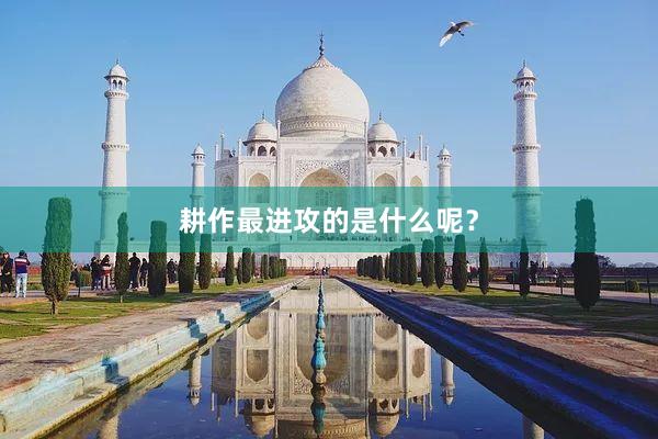 耕作最进攻的是什么呢？