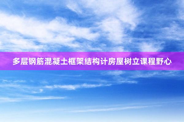 多层钢筋混凝土框架结构计房屋树立课程野心