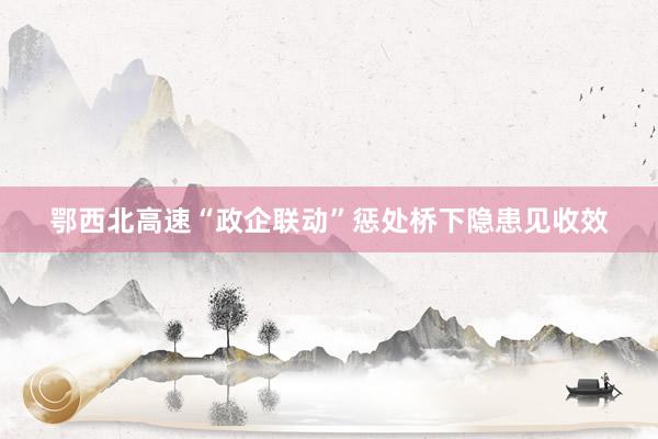 鄂西北高速“政企联动”惩处桥下隐患见收效