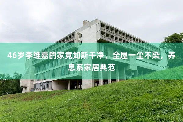 46岁李维嘉的家竟如斯干净，全屋一尘不染，养息系家居典范