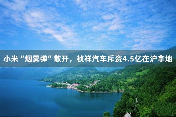 小米“烟雾弹”散开，祯祥汽车斥资4.5亿在沪拿地
