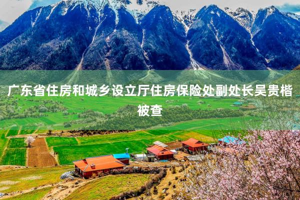 广东省住房和城乡设立厅住房保险处副处长吴贵楷被查