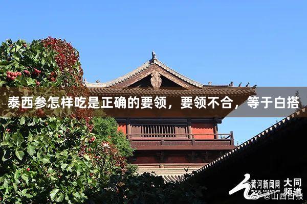 泰西参怎样吃是正确的要领，要领不合，等于白搭