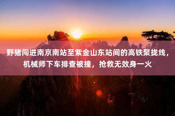 野猪闯进南京南站至紫金山东站间的高铁聚拢线，机械师下车排查被撞，抢救无效身一火