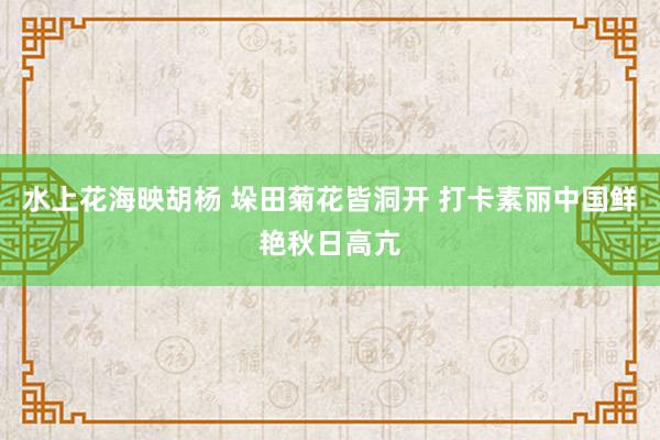 水上花海映胡杨 垛田菊花皆洞开 打卡素丽中国鲜艳秋日高亢