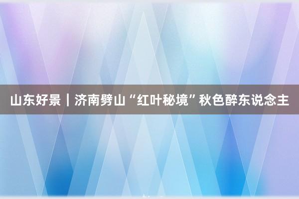 山东好景｜济南劈山“红叶秘境”秋色醉东说念主