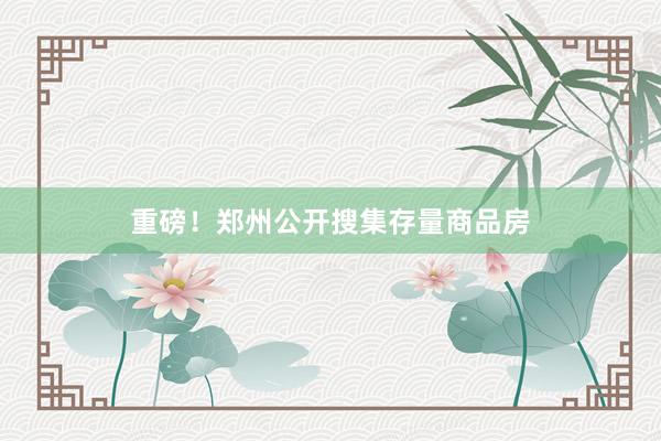 重磅!郑州公开搜集存量商品房