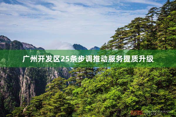 广州开发区25条步调推动服务提质升级