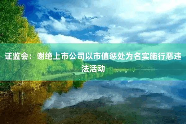 证监会：谢绝上市公司以市值惩处为名实施行恶违法活动