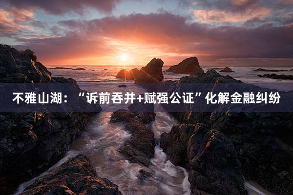 不雅山湖：“诉前吞并+赋强公证”化解金融纠纷