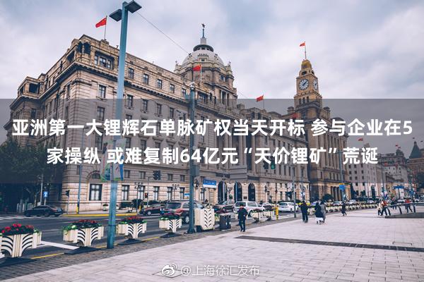 亚洲第一大锂辉石单脉矿权当天开标 参与企业在5家操纵 或难复制64亿元“天价锂矿”荒诞