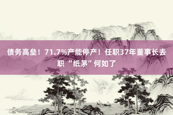债务高垒！71.7%产能停产！任职37年董事长去职 “纸茅”何如了