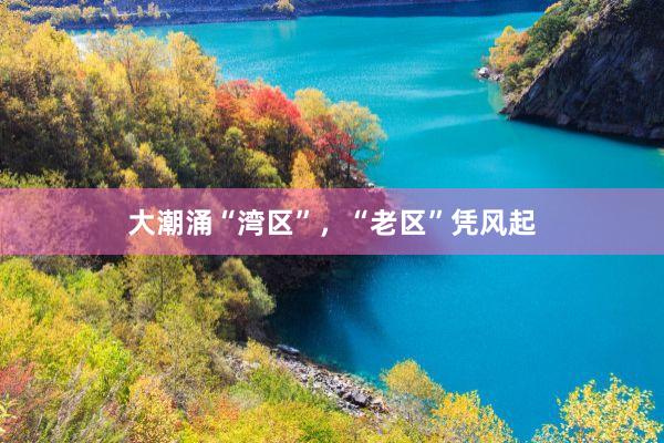 大潮涌“湾区”，“老区”凭风起