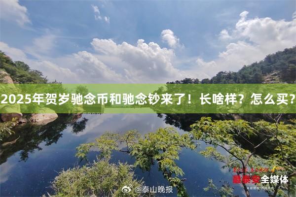 2025年贺岁驰念币和驰念钞来了！长啥样？怎么买？