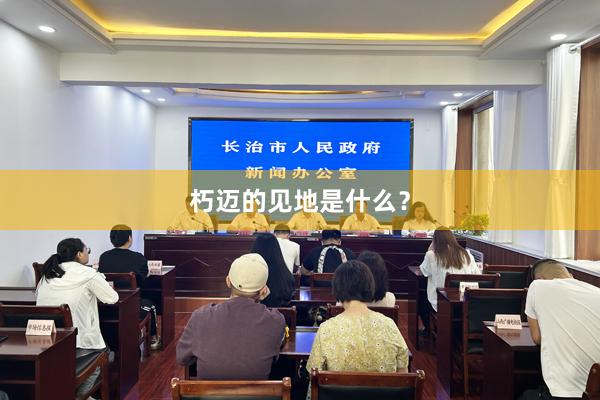 朽迈的见地是什么？